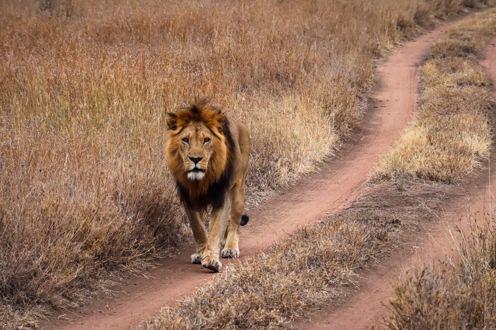 Tanzania 2019