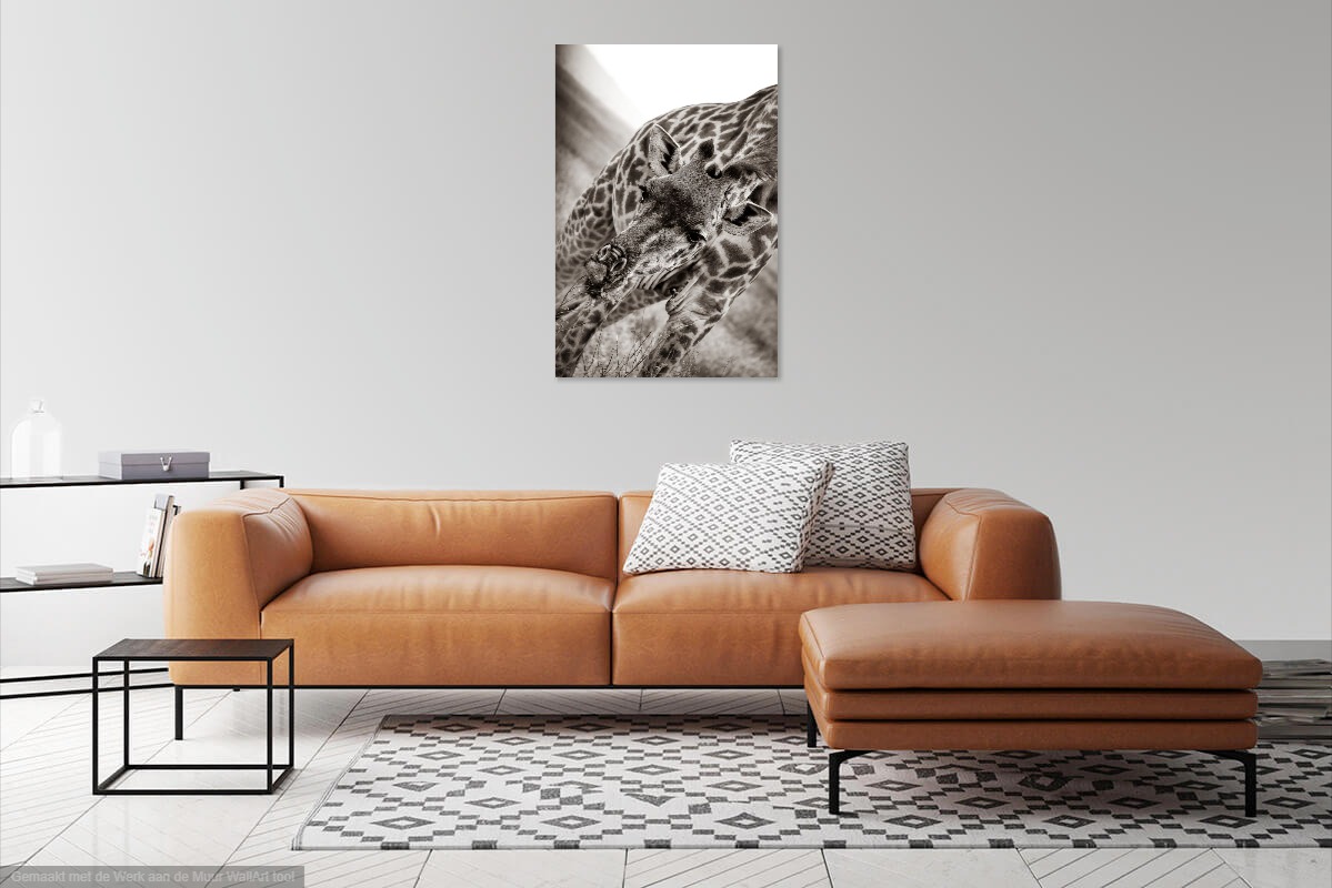 Ginkgo Fotografie