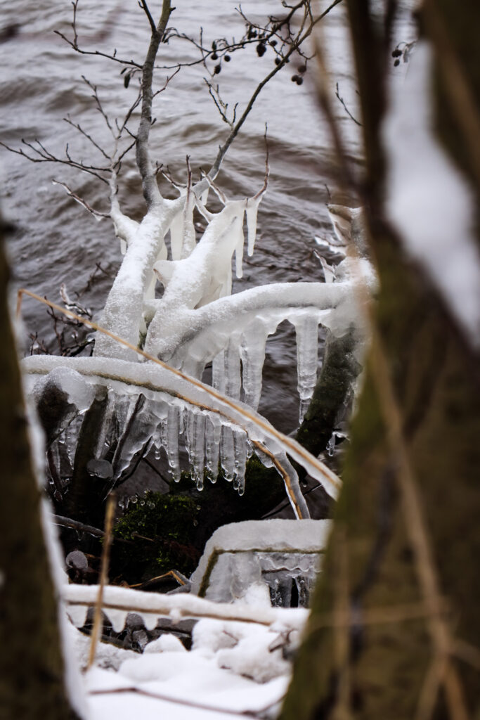 Winter in Nederland | Ginkgo Fotografie | Fotograaf Haarlem